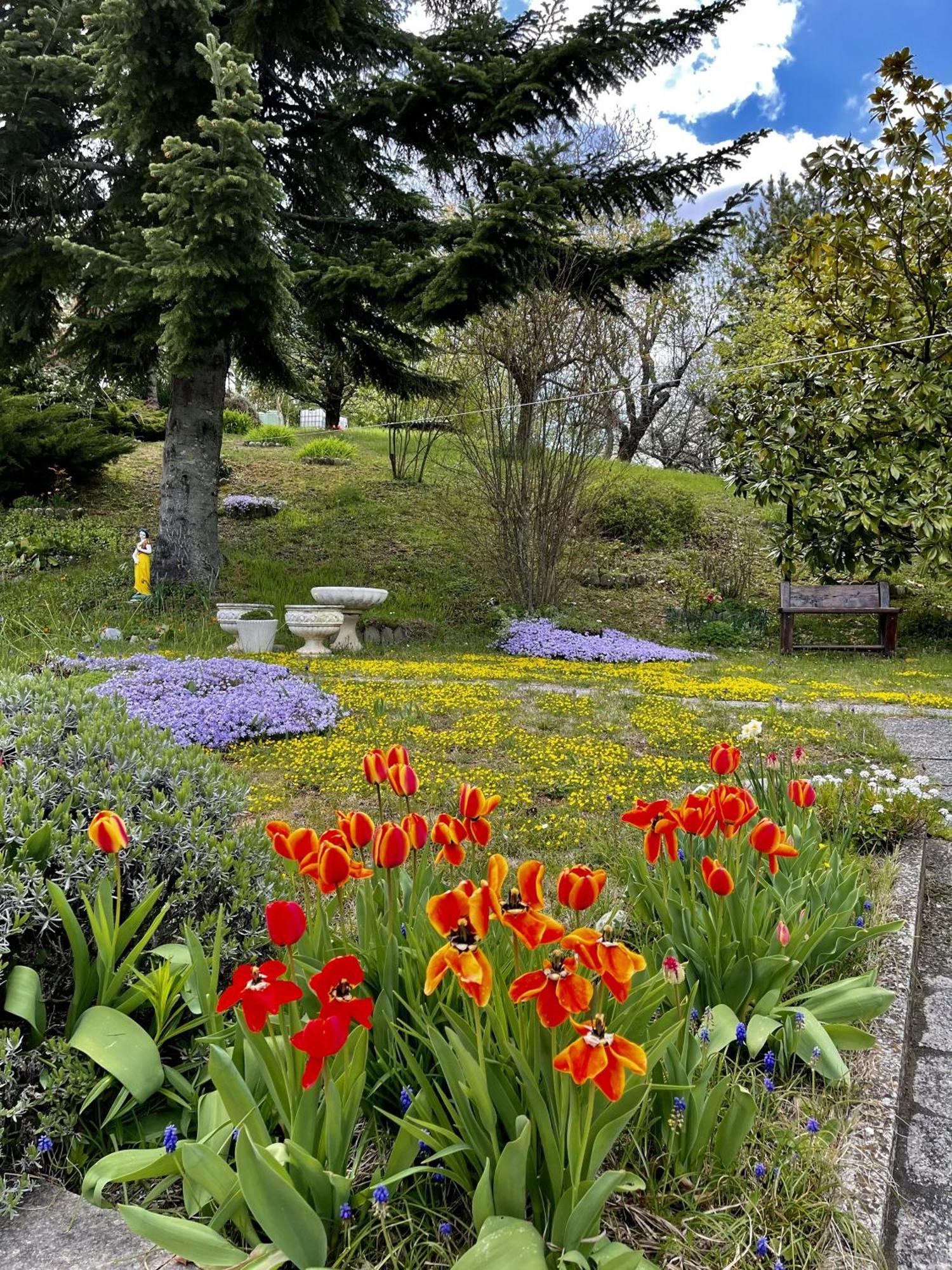 Mazzetti Country House-Vita In Campagna Con Giardino Vimignano-Chiesa Ngoại thất bức ảnh