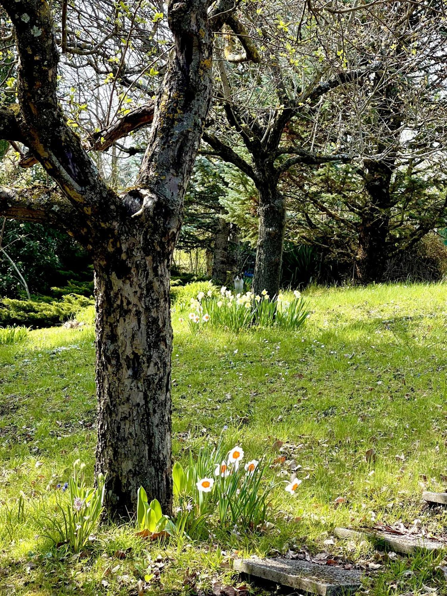 Mazzetti Country House-Vita In Campagna Con Giardino Vimignano-Chiesa Ngoại thất bức ảnh