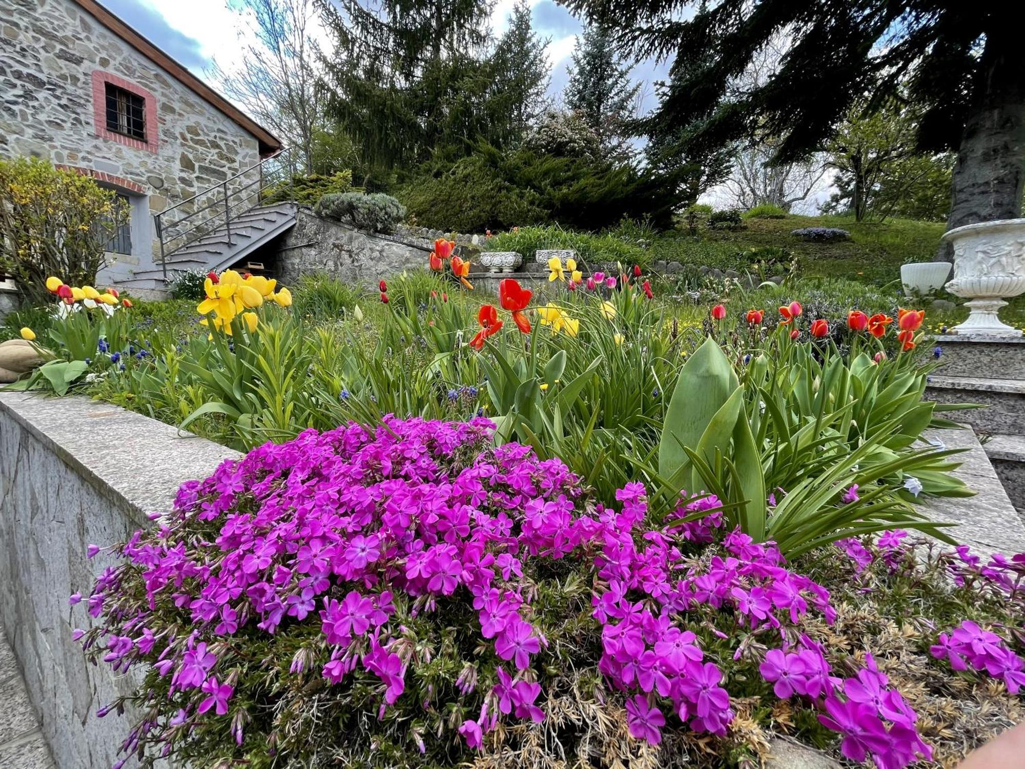 Mazzetti Country House-Vita In Campagna Con Giardino Vimignano-Chiesa Ngoại thất bức ảnh