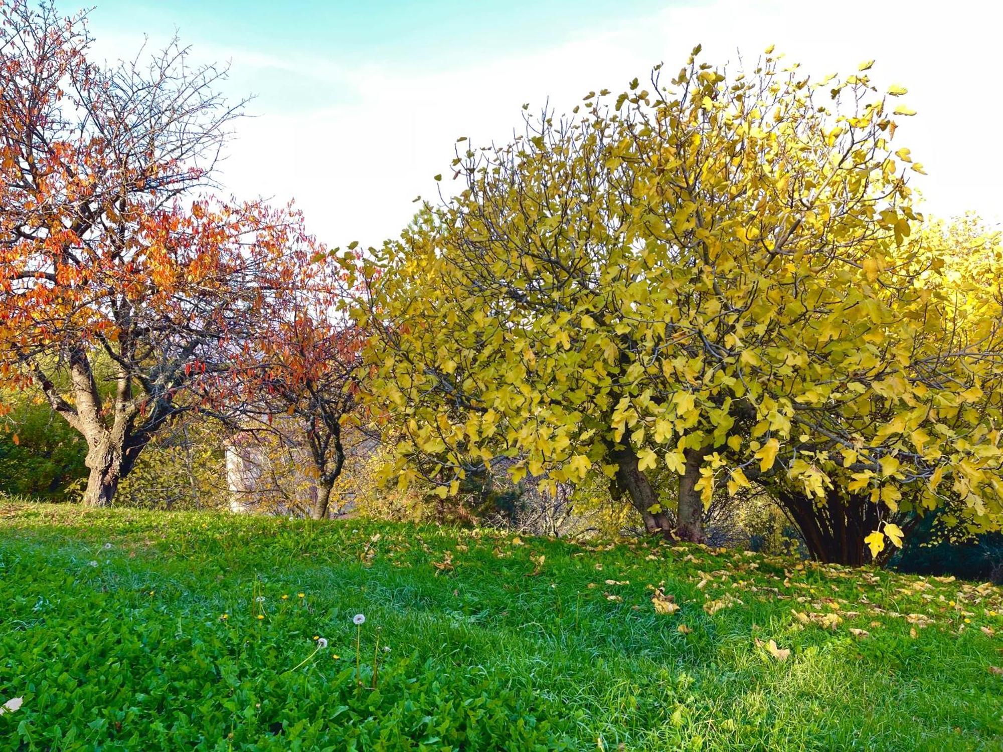 Mazzetti Country House-Vita In Campagna Con Giardino Vimignano-Chiesa Ngoại thất bức ảnh