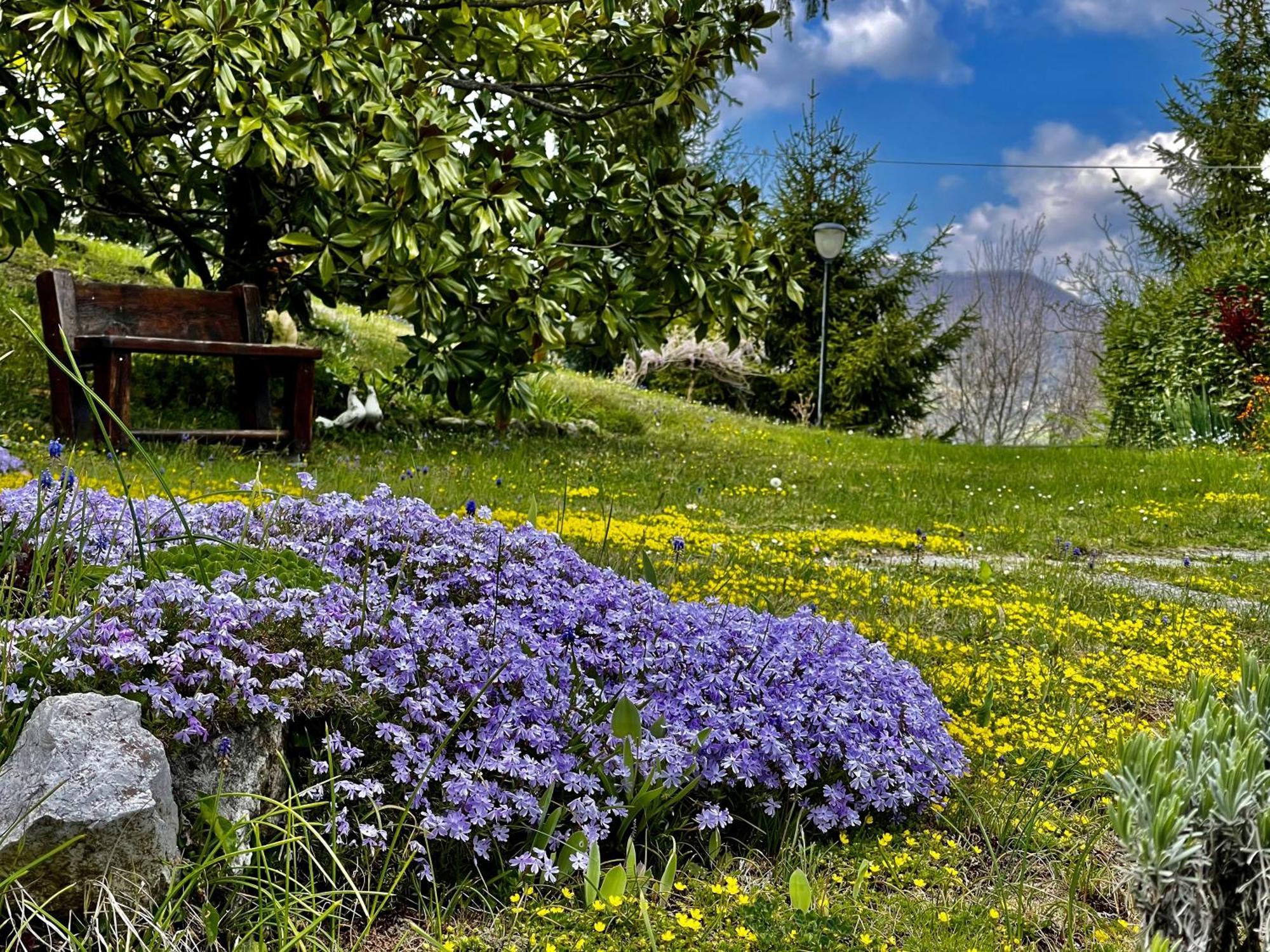 Mazzetti Country House-Vita In Campagna Con Giardino Vimignano-Chiesa Ngoại thất bức ảnh