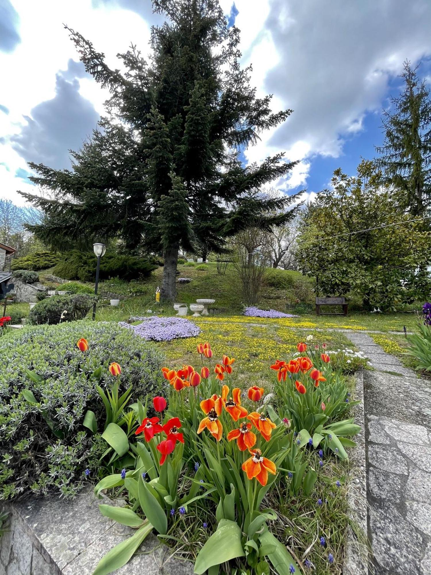 Mazzetti Country House-Vita In Campagna Con Giardino Vimignano-Chiesa Ngoại thất bức ảnh